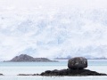 Glacier