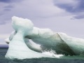 Iceberg