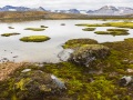 paysage de toundra