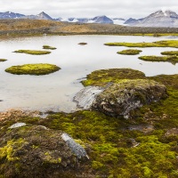 paysage de toundra