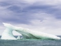 Iceberg