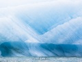 Iceberg: glace bleue