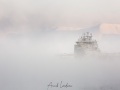 Bateau dans la brume: port de Longyearbyen