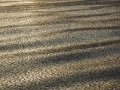 Glace en crèpe au soleil levant