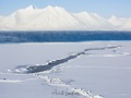 Banquise en fond de fjord