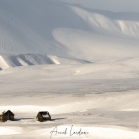 Cabane de trappeur