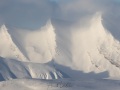Paysage hivernal
