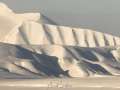 Paysage hivernal
