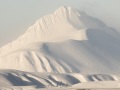 Paysage hivernal