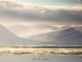 Paysage hivernal