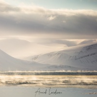 Paysage hivernal