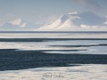Paysage hivernal