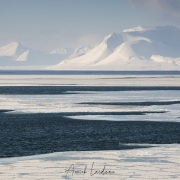 Paysage hivernal
