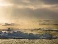 Banquise dérivante: 79°56 Nord