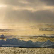 Banquise dérivante: 79°56 Nord