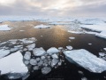 Banquise dérivante: 79°56 Nord