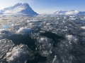 Paysage hivernal