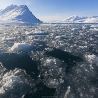 Paysage hivernal