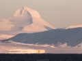 Paysage hivernal