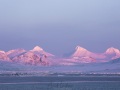 Paysage d'hiver au couchant
