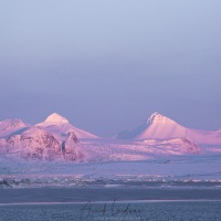 Paysage d'hiver au couchant