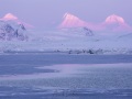 Paysage d'hiver au couchant