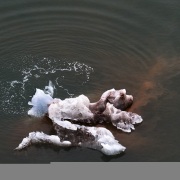 Iceberg