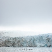 Front de glacier dans le brouillard matinal