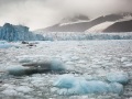 Glacier Monaco et brash