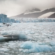 Glacier Monaco et brash