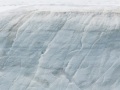 Improbable observation: Ours polaire sur la calotte glaciaire de l'ile du Nord-Est