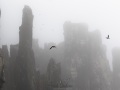 Falaises dans le brouillard