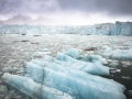 Glacier Monaco et brash