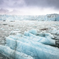 Glacier Monaco et brash