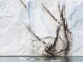 Graphisme sur le front de la calotte de glace sur l'ile du Nord-Est