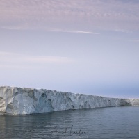 Calotte de glace sur l'ile du Nord-Est