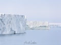 Calotte de glace sur l'ile du Nord-Est