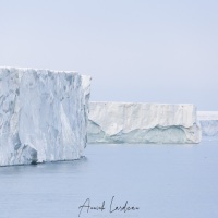 Calotte de glace sur l'ile du Nord-Est