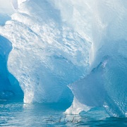 Iceberg: déclinaison de bleu