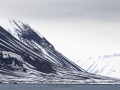 Paysage enneigé