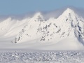 Paysage enneigé