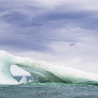 Iceberg