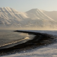 Paysage enneigé et brume de mer