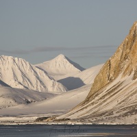 Paysage enneigé