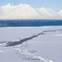 Banquise en fond de fjord