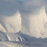 Paysage hivernal