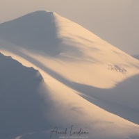 Douceur hivernale