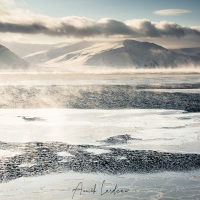 Paysage hivernal et brume de mer