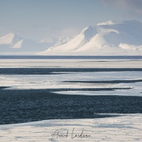 Paysage hivernal