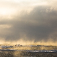 Banquise dérivante et brume de mer: 79°56 Nord